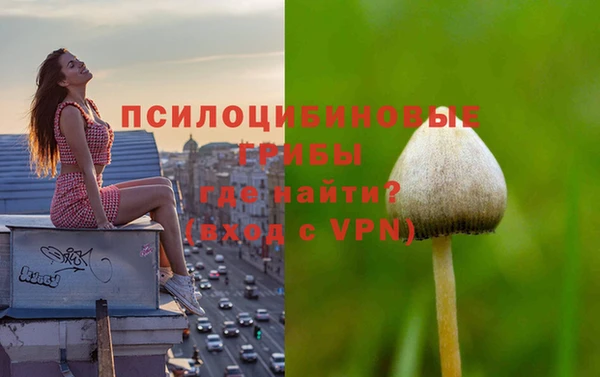 меф Заволжск